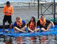 on float with dolphin trainer