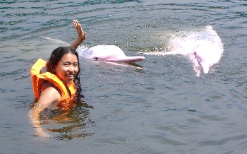 indo-pacific-humpback-dolphin.jpg